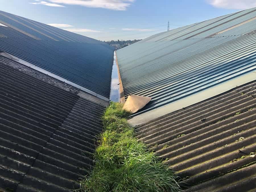 Gutter-Cleaning-Company